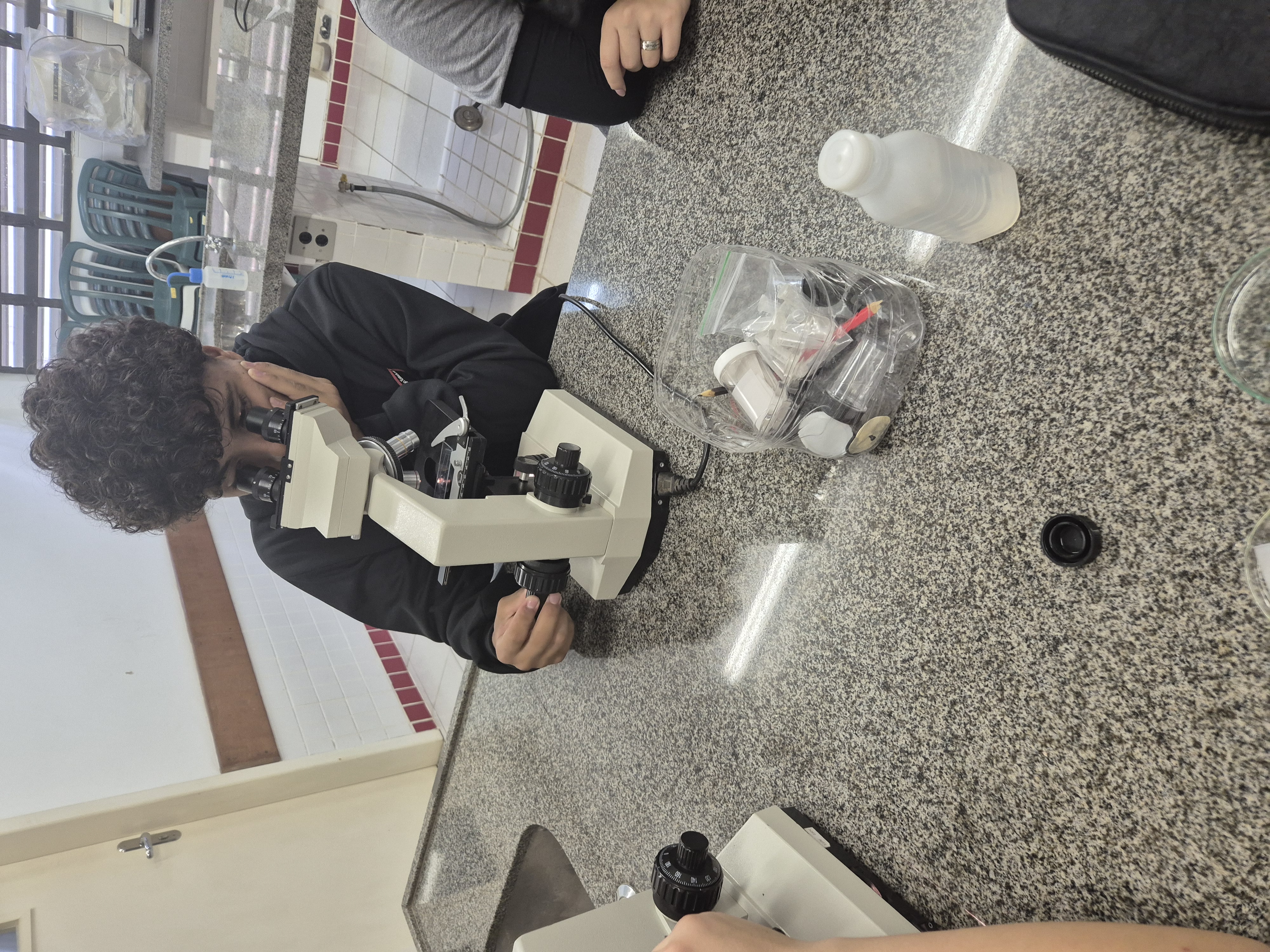 desenvolvimento do estudo